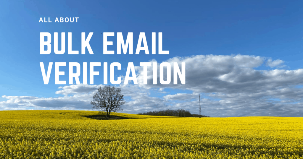 All About Bulk Email Verification