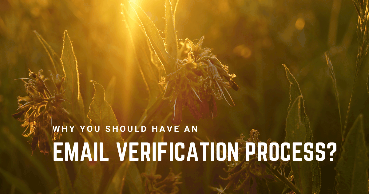 Why you should have an email verification process?
