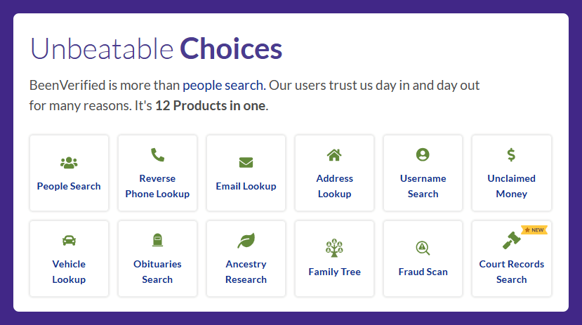 BeenVerified features