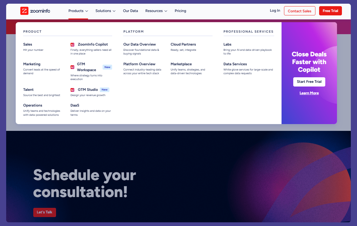 Caractéristiques de ZoomInfo
