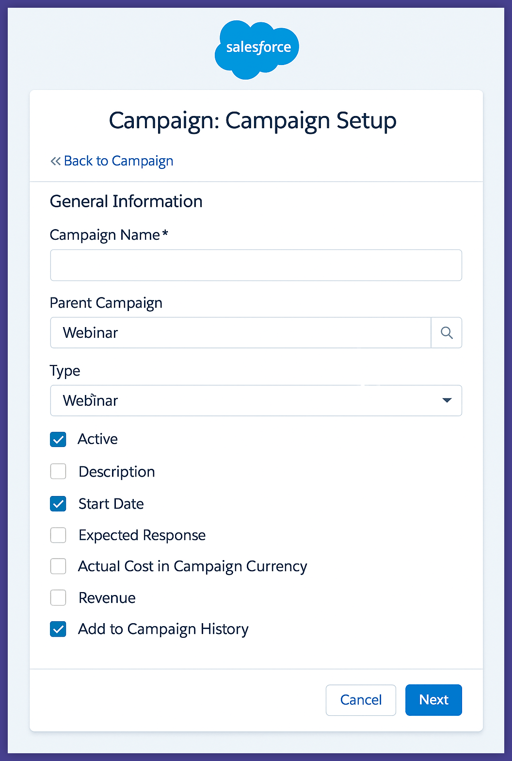 Salesforce form for setting up campaign