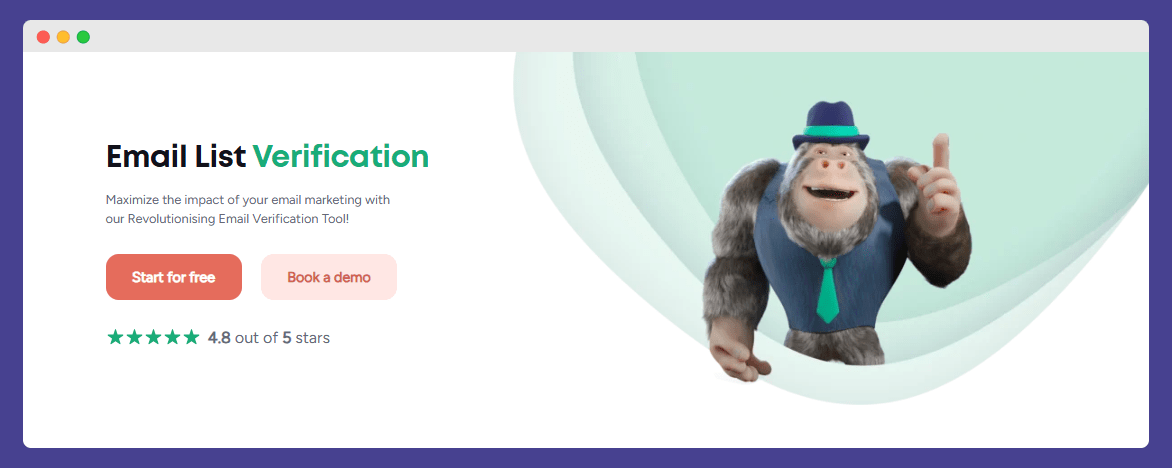 Bouncer email verification page.